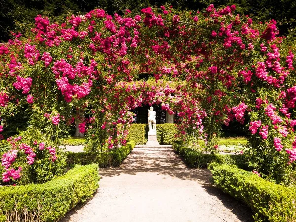 Piękny Ogród Różany Zamku Menkemaborg Mieście Uithuizen Holandii — Zdjęcie stockowe