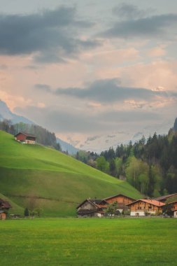Çayırlarla ve bazı evlerle kaplı atmosferik kırsal bir arazinin dikey çekimi