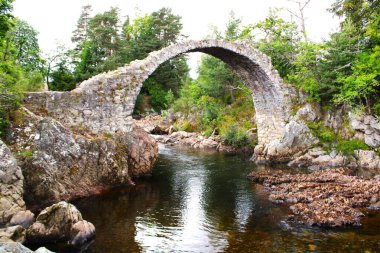 Ağaçlarla çevrili eski yük atı köprüsü.