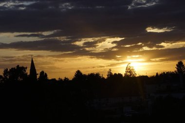 Gün batımında güzel bir ormanın alçak açılı görüntüsü
