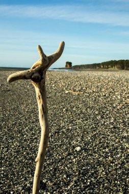 Sahilde mavi gökyüzüne karşı çakıl taşlarıyla sürüklenen ağaçların dikey görüntüsü.