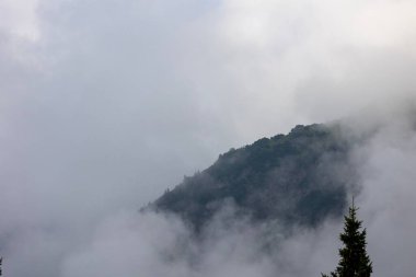 Dağ ormanlarının tamamen sisle kaplı olduğu bir manzara.