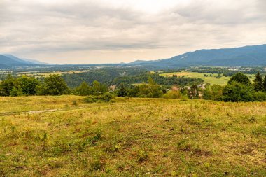 Slovenya Vintgar 'da bir tepede bulutlu bir havada bir tarla