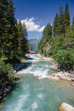 Avusturya 'da güneşli bir günde yeşil ağaçların arasından akan bir nehrin dikey görüntüsü.
