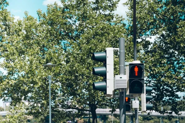 Moderno Semáforo Pedestres Com Sinal Parada Vermelho Contra Fundo Árvores — Fotografia de Stock