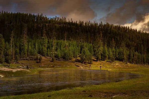 Ensam Fiskare Vid Yellowstone Floden Med Trädkantad Usa — Stockfoto