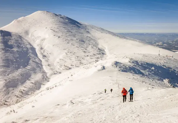 Sekelompok Pendaki Mendaki Gunung Bersalju Musim Dingin — Stok Foto