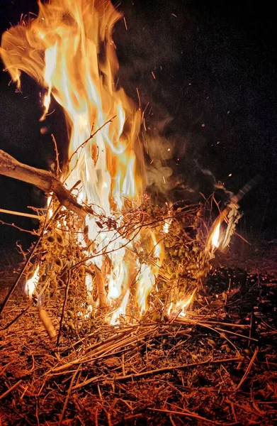伝統的なたき火の方法で村でひよこ豆を焼くのイメージ — ストック写真