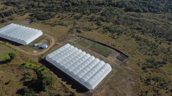 Una Vista Pájaro Graneros Cerca Campos Agrícolas Verdes Día Soleado —  Fotos de Stock