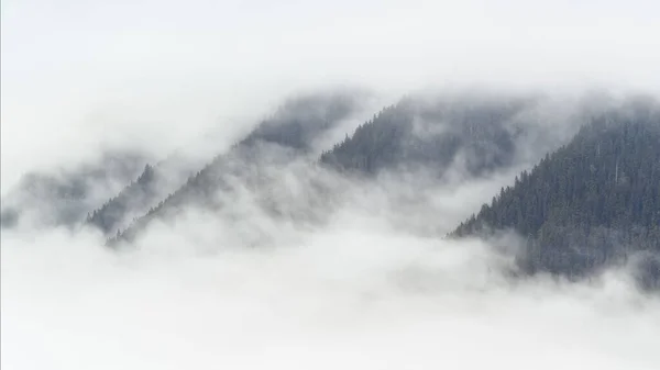 Una Vista Panorámica Exuberantes Bosques Las Montañas Envueltas Nubes Blancas —  Fotos de Stock