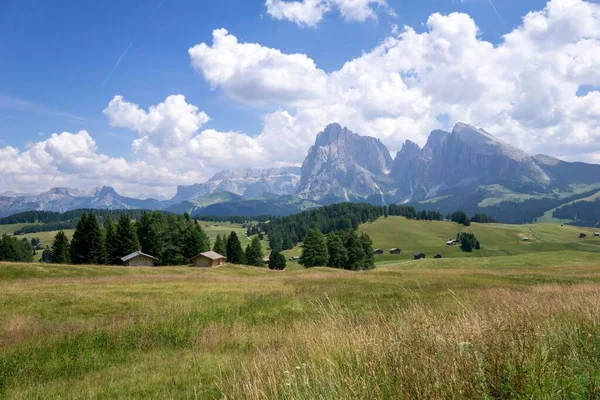 Prado Alpe Siusi Cordilheira Das Dolomitas Tirol Sul Itália — Fotografia de Stock