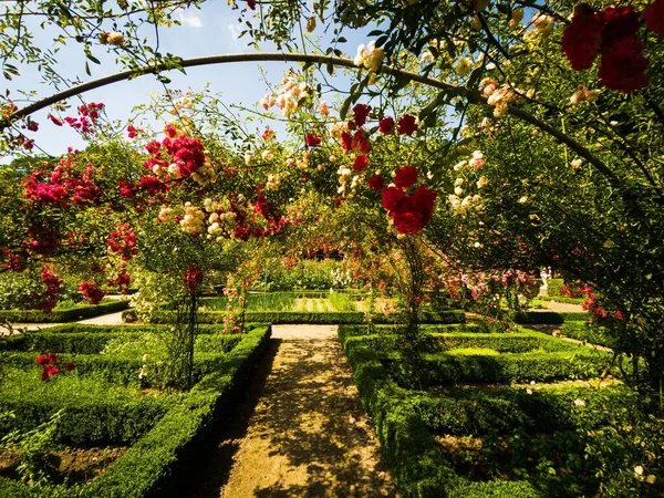 Ogród Różany Zamku Menkemaborg Mieście Uithuizen — Zdjęcie stockowe