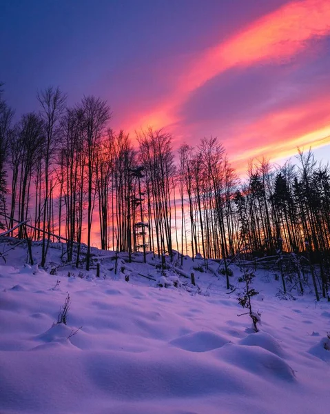 Impresionante Vista Una Puesta Sol Naranja Bosque Nevado —  Fotos de Stock