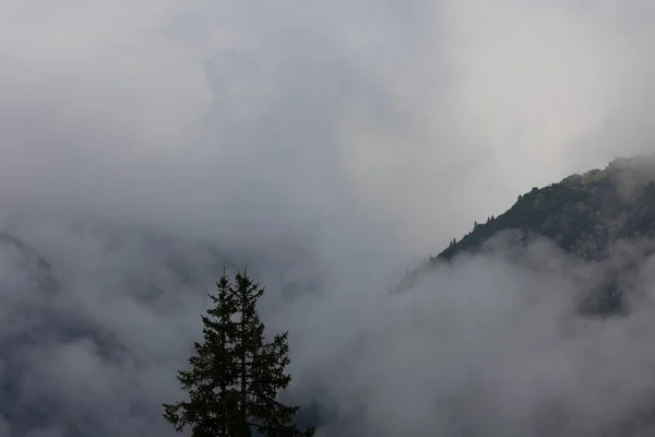 Eine Landschaft Mit Bergwald Der Vollständig Nebel Gehüllt Ist — Stockfoto