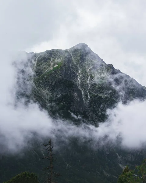 霧に覆われた山頂の垂直ショット — ストック写真