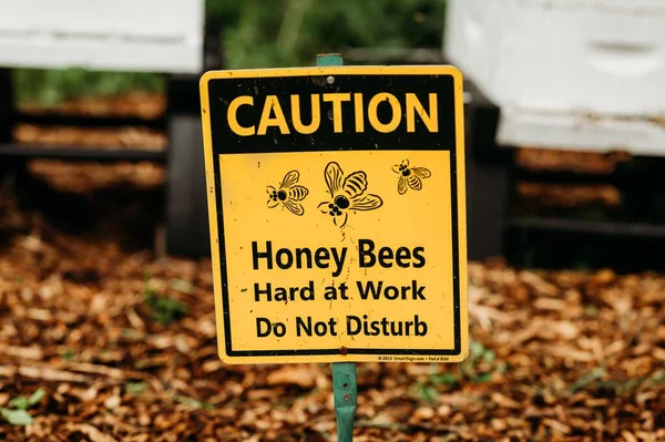 Arıları Rahatsız Etmemek Için Bir Uyarı Işareti — Stok fotoğraf