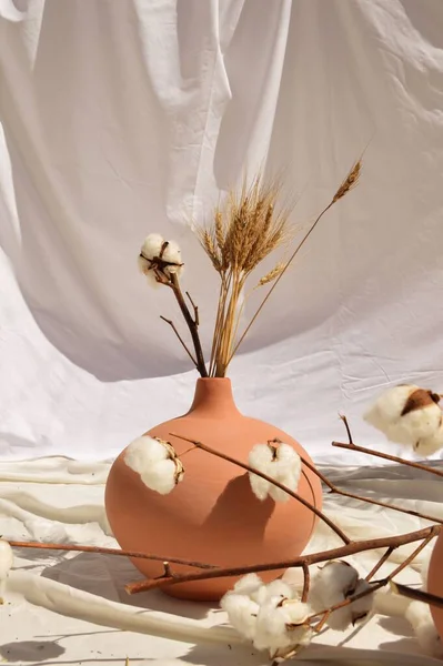 Vertical Closeup Clay Vase Plants White Fabric Still Life — Stock Photo, Image