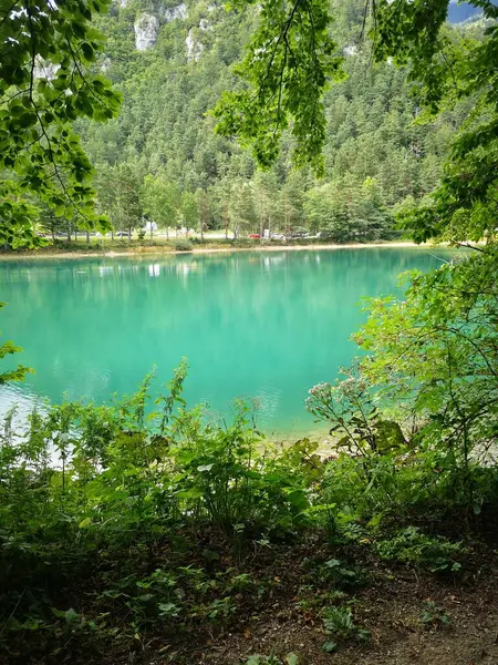 Tiro Vertical Belo Lago Cristal Cercado Por Natureza Verde — Fotografia de Stock