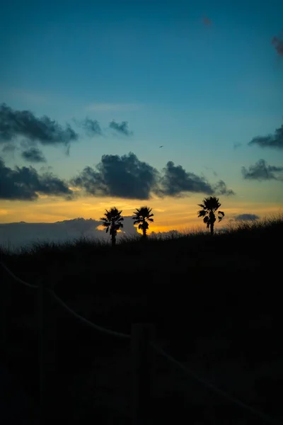 Golden Hour Sunset Пляже — стоковое фото