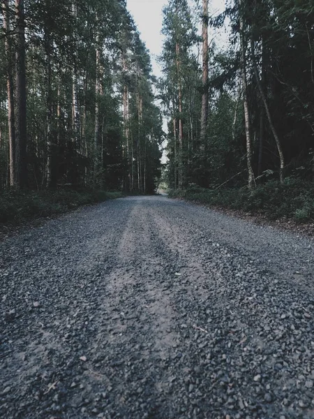 Eine Senkrechte Aufnahme Einer Schotterstraße Durch Den Grünen Wald — Stockfoto