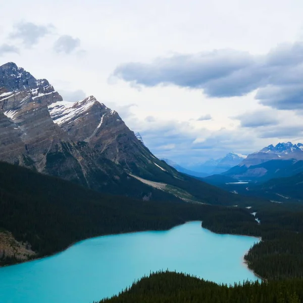 Una Vista Impresionante Del Lago Peyto Rodeado Montañas Día Nublado — Foto de Stock