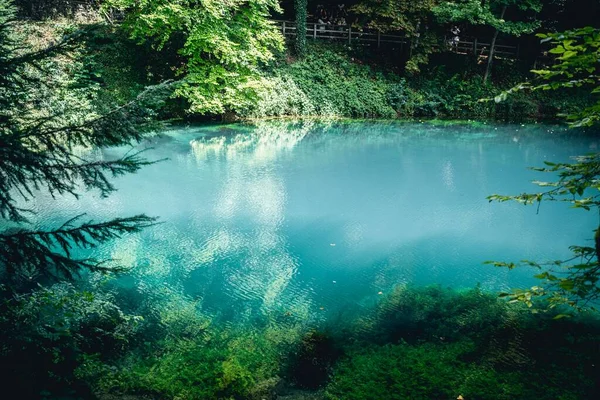 Uma Bela Vista Lago Calmo Cercado Por Vegetação — Fotografia de Stock