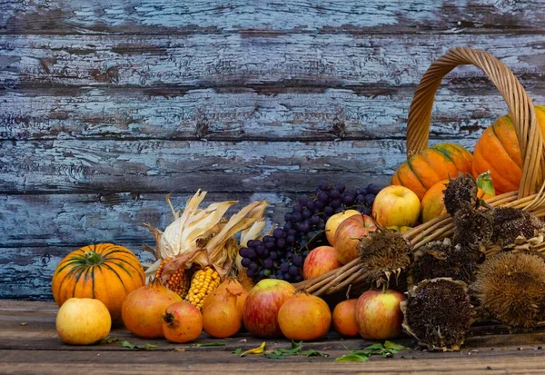 カボチャやりんごや秋の果物や花でいっぱいのバスケット — ストック写真