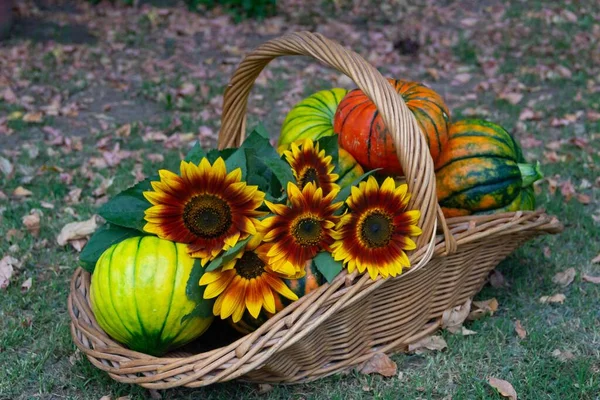 Basket Full Pumpkins Apples Various Autumn Fruits Flowers — Stock Photo, Image
