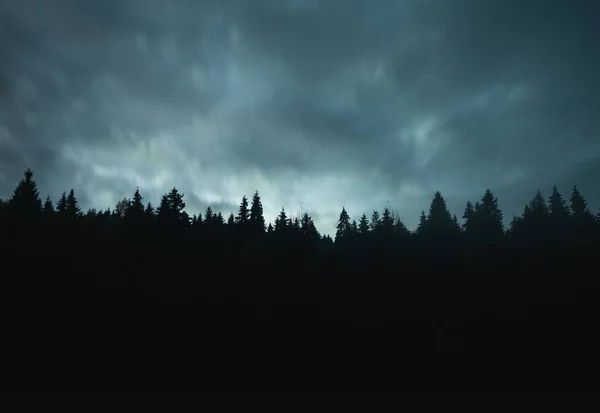 Egy Fenyőerdő Sziluettje Egy Felhős Sötét Nappal — Stock Fotó