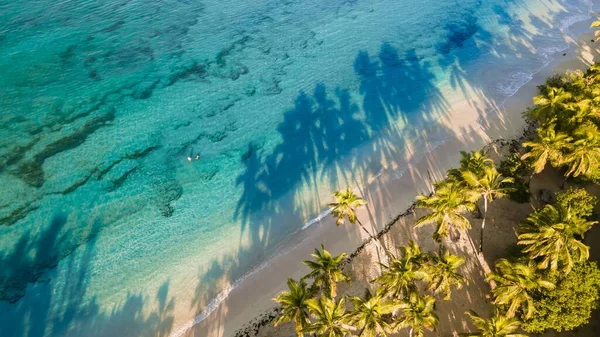 Vista Desde Arriba Playa Salines Martinica Tomada Amanecer Con Sombra — Foto de Stock