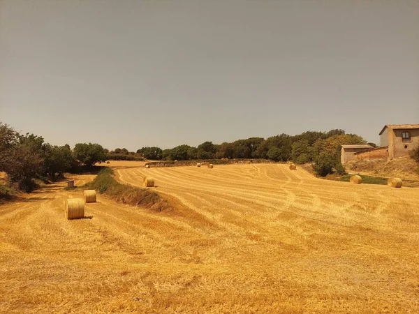 Scenic View Hay Bales Field Catalonia Spain — Stock Photo, Image