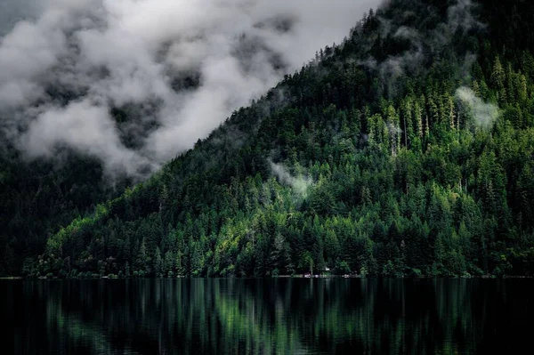 Egy Smaragd Ködös Erdőben Felhőkkel Borítva — Stock Fotó