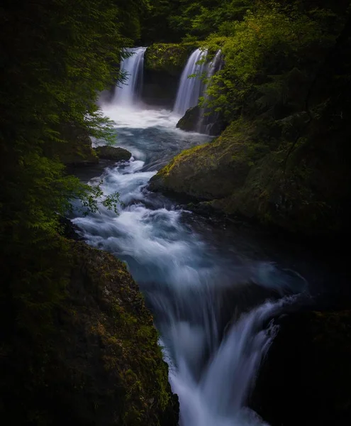 Disparo Vertical Una Hermosa Cascada Bosque Rodeado Naturaleza Verde Salvaje — Foto de Stock