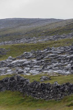 İrlanda 'nın vahşi kıyılarının dikey çekimi