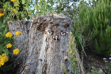 Es ist in Baumstumpf auf dem ein Gesicht auf der Vorderseite ist