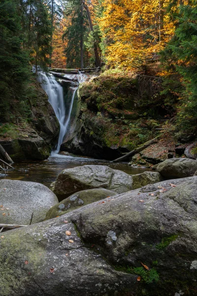 秋天森林里一个小瀑布的垂直镜头 — 图库照片