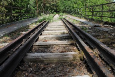 Güneşli bir günde ormana giden eski ve kırsal bir demiryolu.