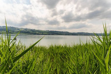 Taze çimenden bulutlu gökyüzünün altındaki göle bir manzara