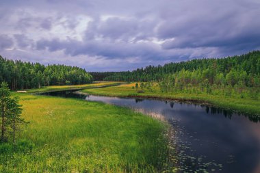 Kasvetli bir günde çam ağaçlarının ormanlarıyla çevrili uzun bir nehir.