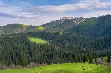 Dağların üzerinde büyüleyici bir altın gün batımı manzarası