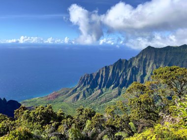 A scenic view of Kalalau Lookout with rocky and green mountains and a calm sea in Hawaii clipart