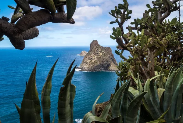 Ein Tiefblauer Meerblick Auf Die Pflanzen Auf Einem Hügel — Stockfoto