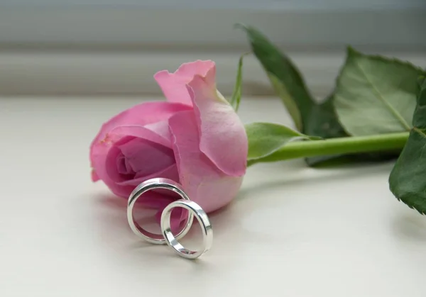 Casal Prata Anéis Lado Rosa Rosa Deitado Superfície Branca — Fotografia de Stock