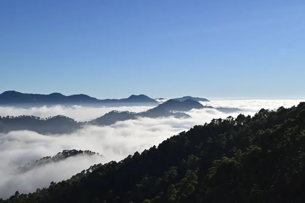 Árvores Nas Montanhas Com Bela Vista Sobre — Fotografia de Stock