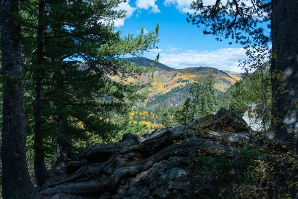 Uma Vista Panorâmica Das Montanhas Com Árvores Primeiro Plano Durante — Fotografia de Stock