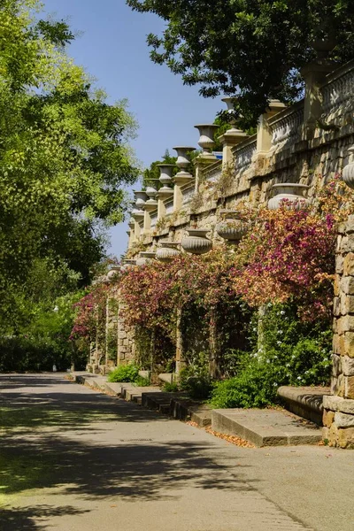 Vertical Shot Beautiful Side Road Cover Flowers Ancients Sculpture Park — Stock Photo, Image