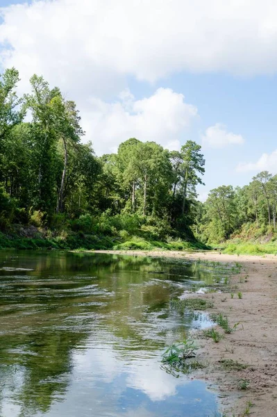 Houston Daki Water Creek Nehri Orman Alanları Teksas Çam Ormanları — Stok fotoğraf
