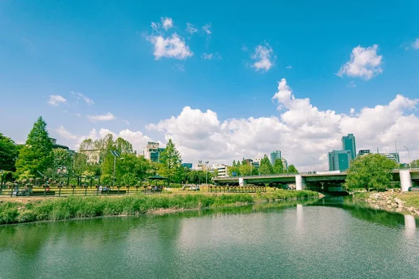 都市の高層ビルが建ち並ぶ公園を流れる川 — ストック写真