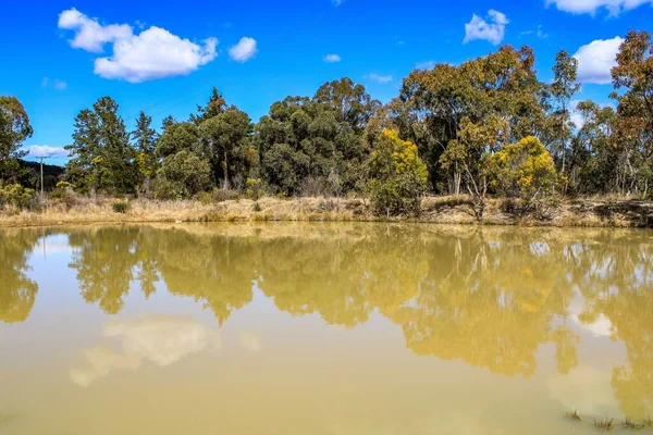 オーストラリア ニューサウスウェールズ州エマビルの木々や空を反映した湖の景色 — ストック写真