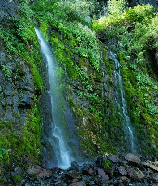 Vertikální Záběr Krásného Vodopádu Stékajícího Skalách Lese Slunečného Dne — Stock fotografie
